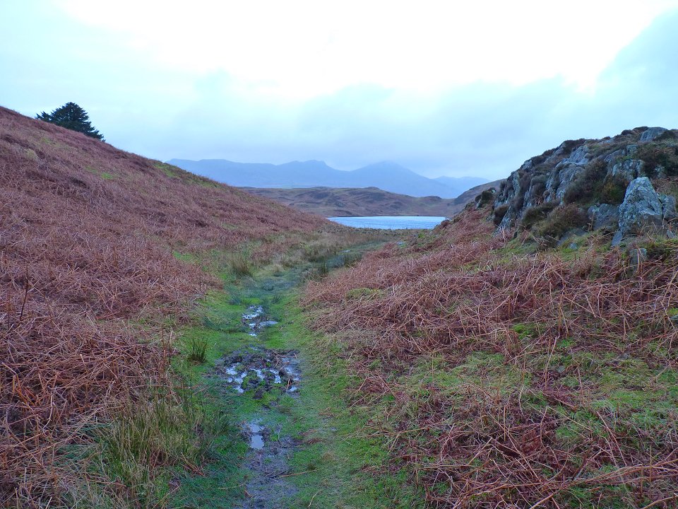 Beacon Tarn